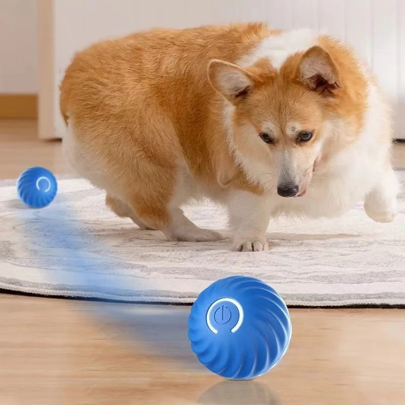 Smart Dog Toy