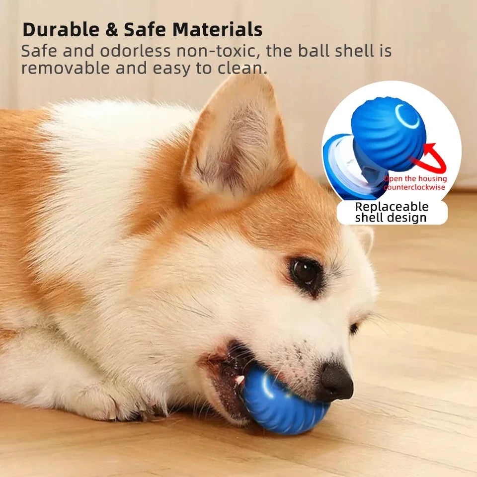 Smart Dog Toy