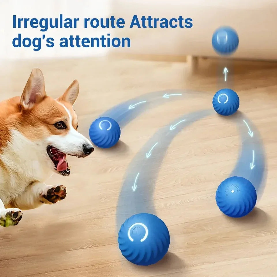 Smart Dog Toy